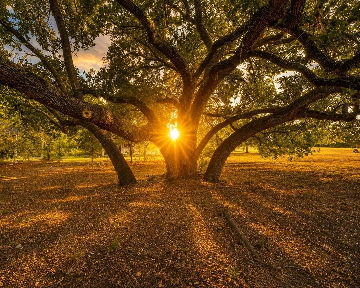 67.84 acres in Burnet County - photo 24