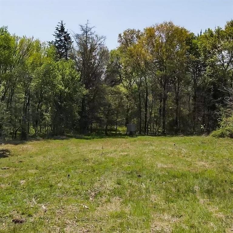 49 acres in Navarro County gallery image 4