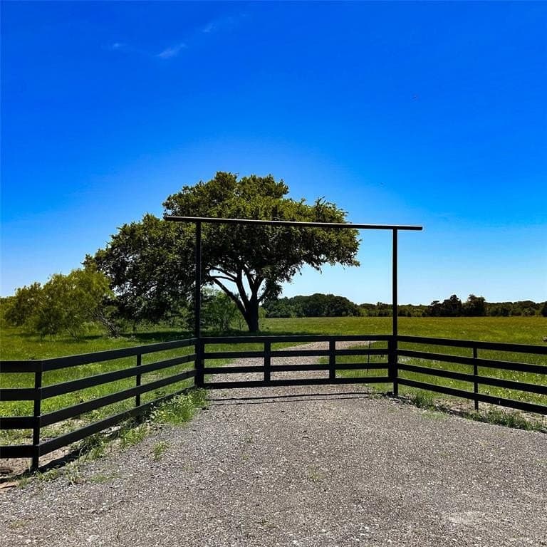 49 acres in Navarro County gallery image 2