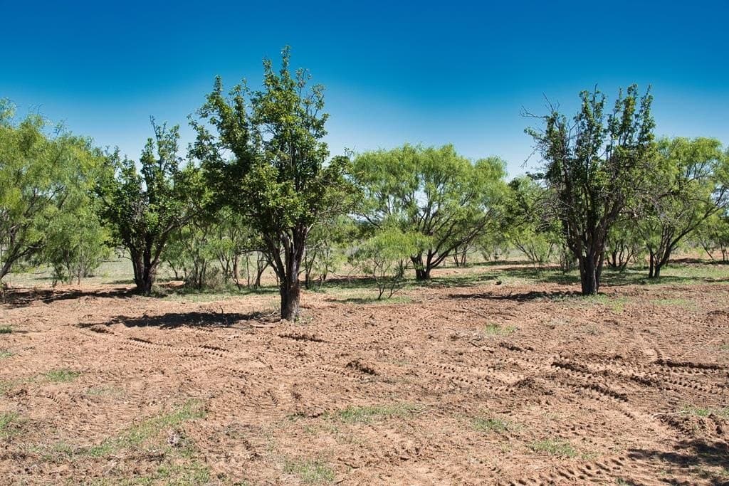 34 acres in Mason County gallery image 3