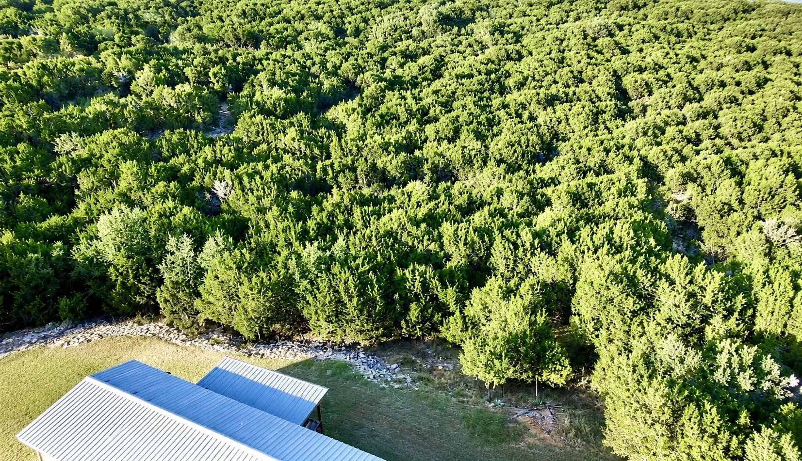 10 acres in Somervell County - photo 15