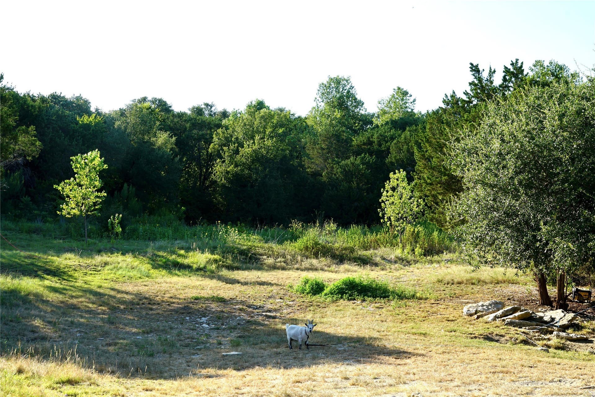 10 acres in Somervell County - photo 17