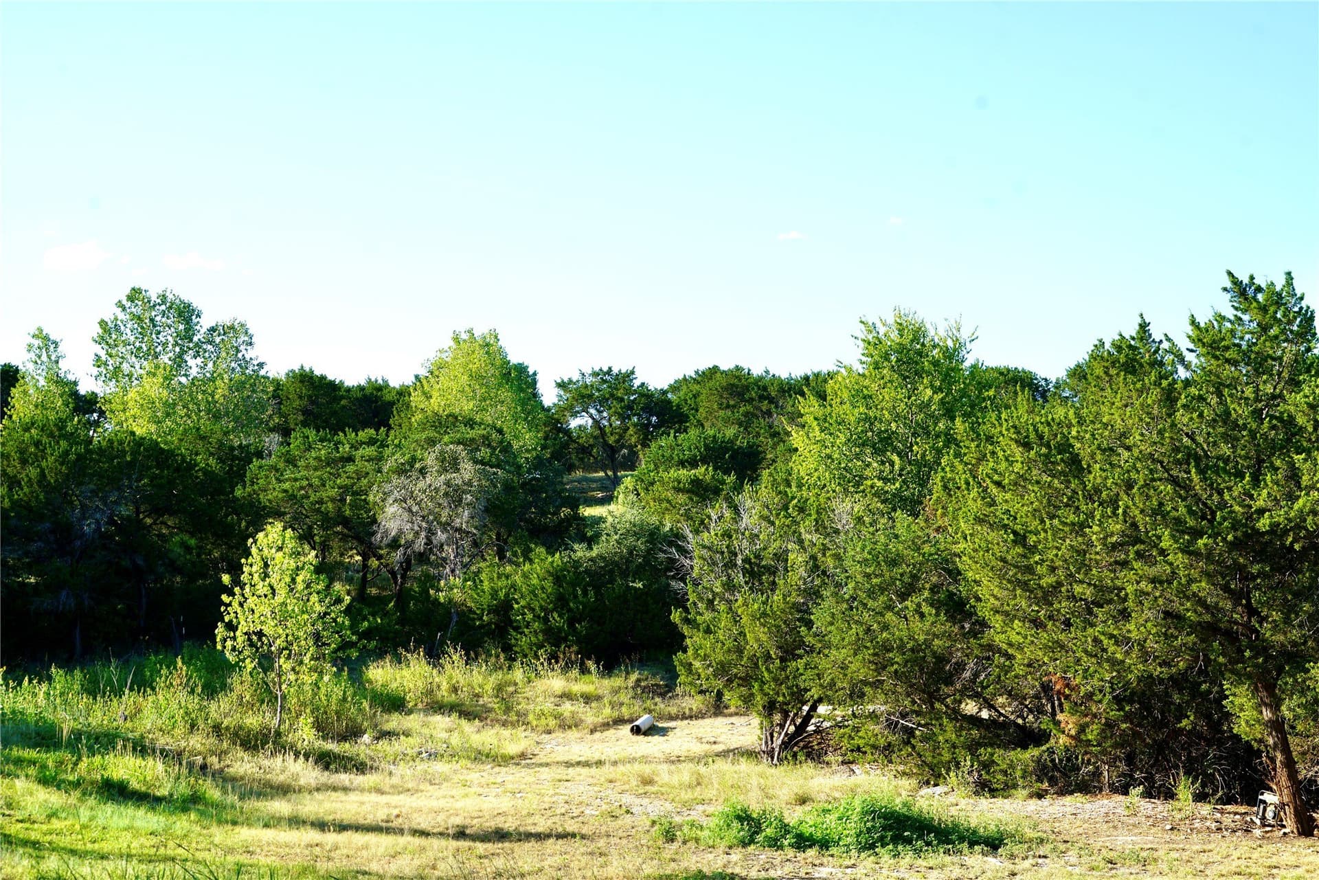 10 acres in Somervell County - photo 18