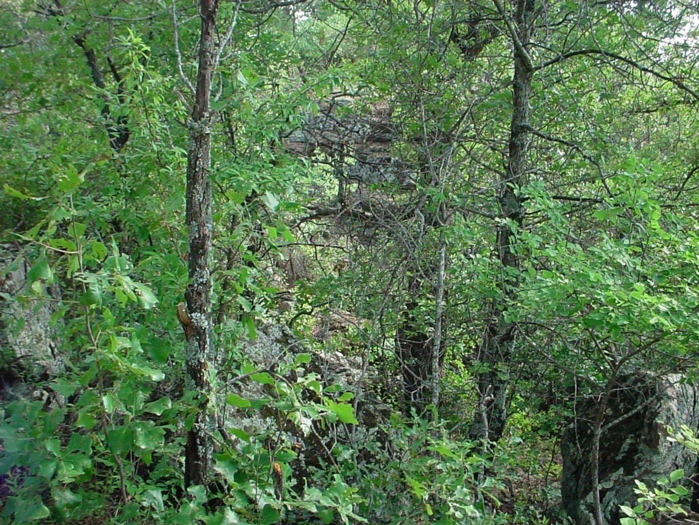 1.45 acres in Palo Pinto County - photo 5