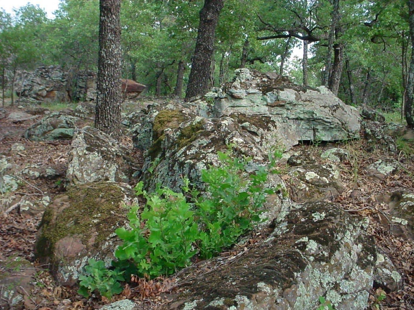 1.45 acres in Palo Pinto County - photo 4