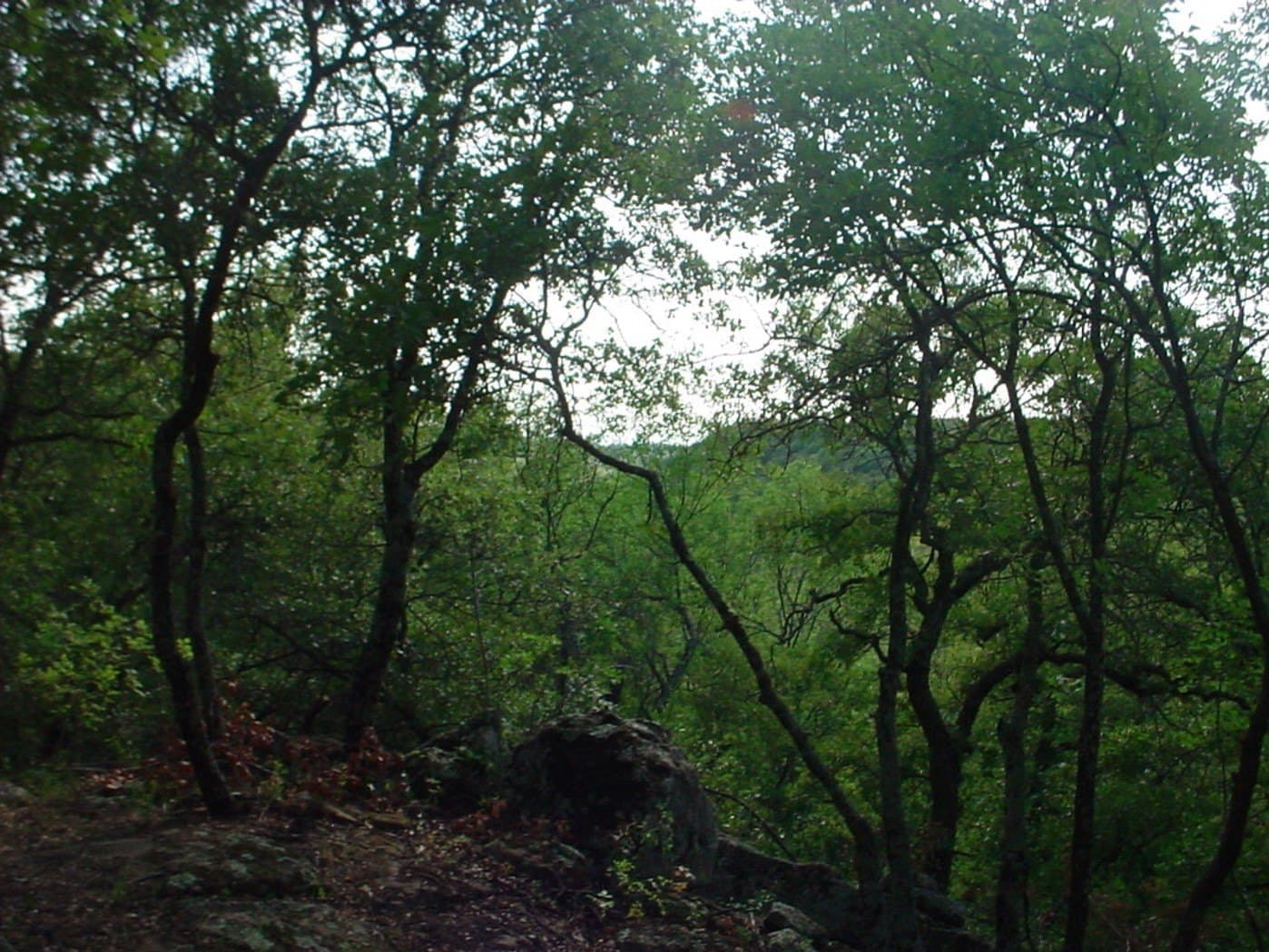 1.45 acres in Palo Pinto County - photo 2