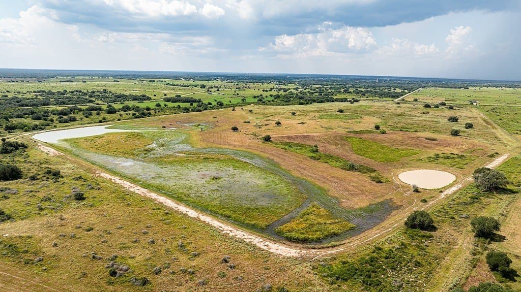 181.88 acres in Colorado County gallery image 2