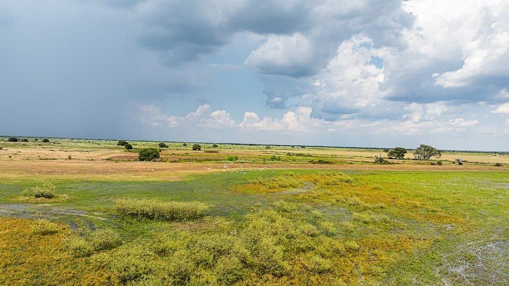 181.88 acres in Colorado County gallery image 4