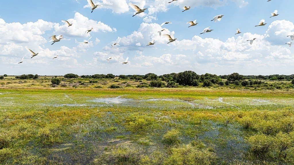 181.88 acres in Colorado County gallery image 3