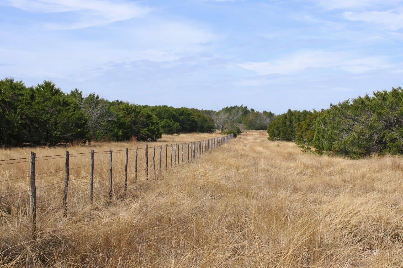 102.74 acres in Coryell County - photo 8