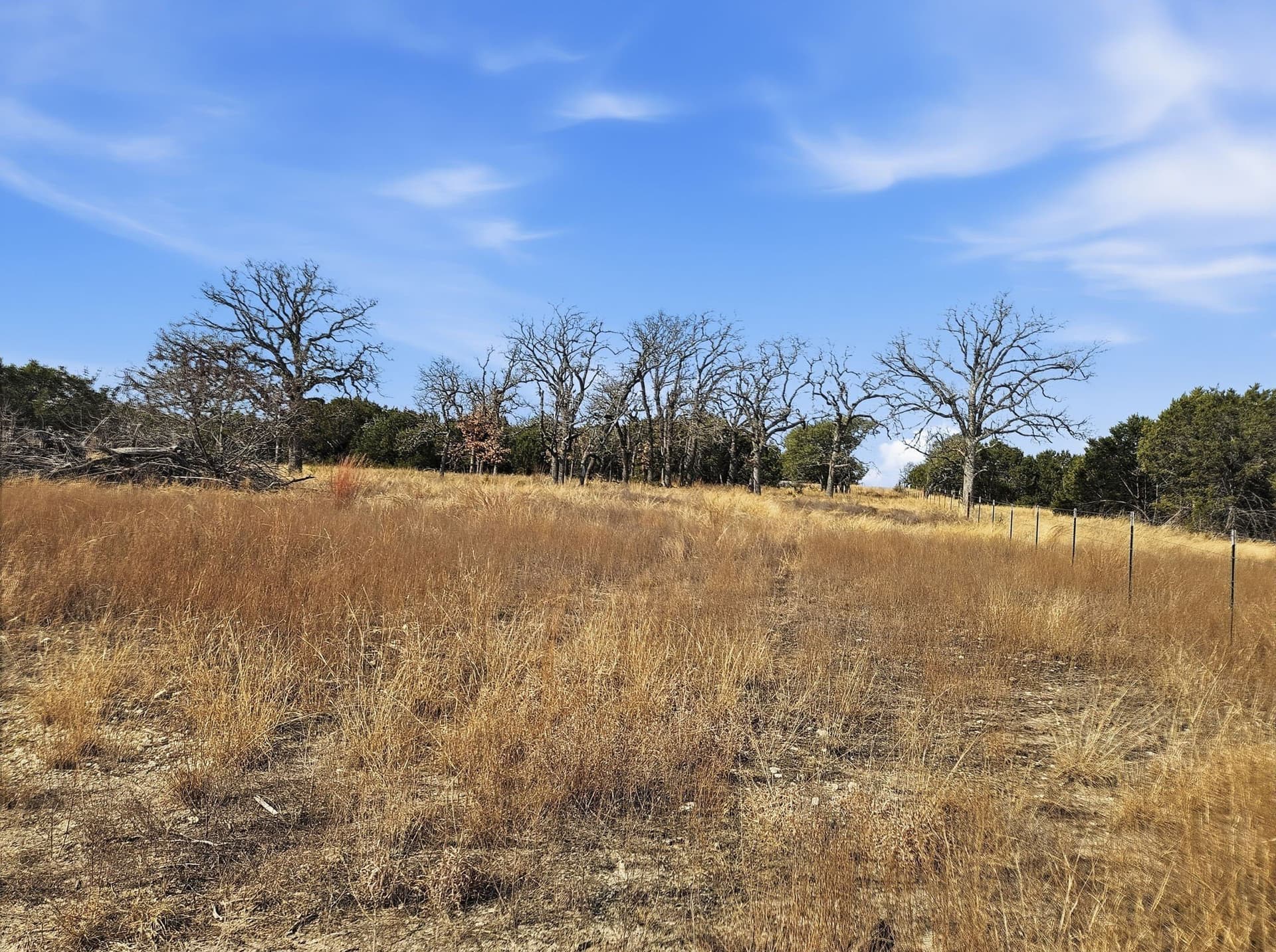 102.74 acres in Coryell County - photo 20