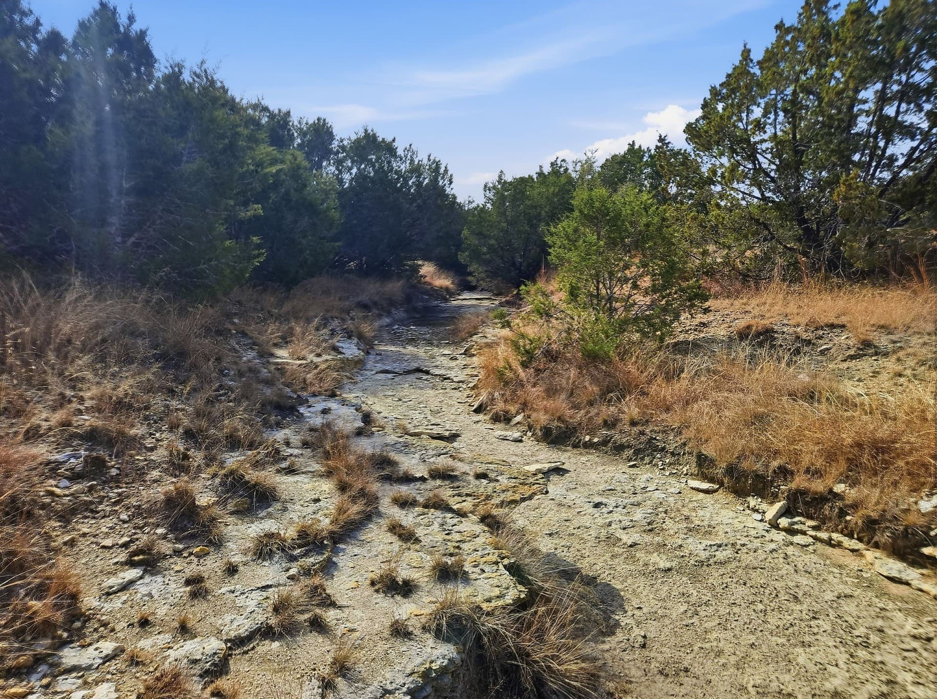 102.74 acres in Coryell County - photo 18