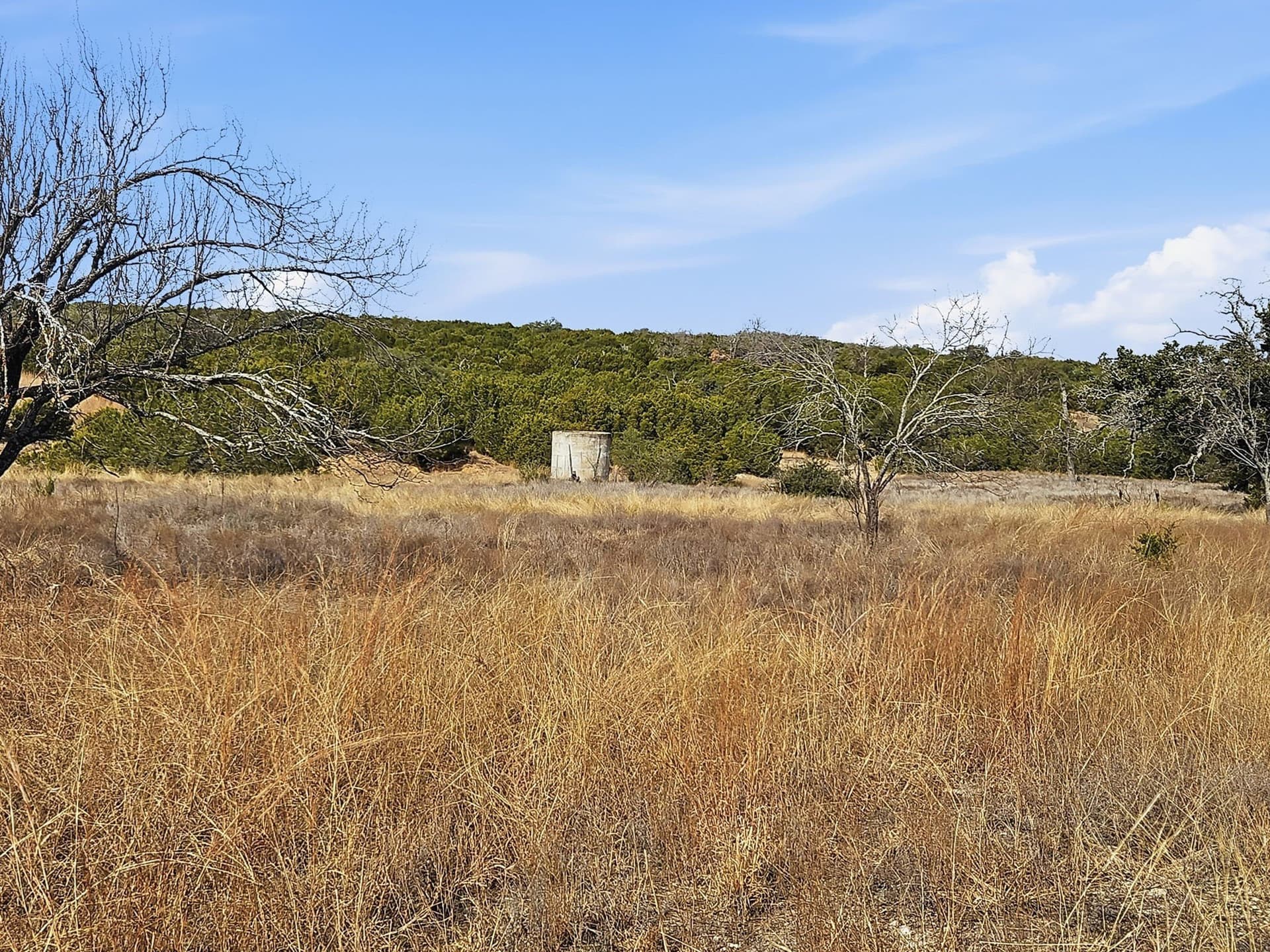 102.74 acres in Coryell County - photo 7