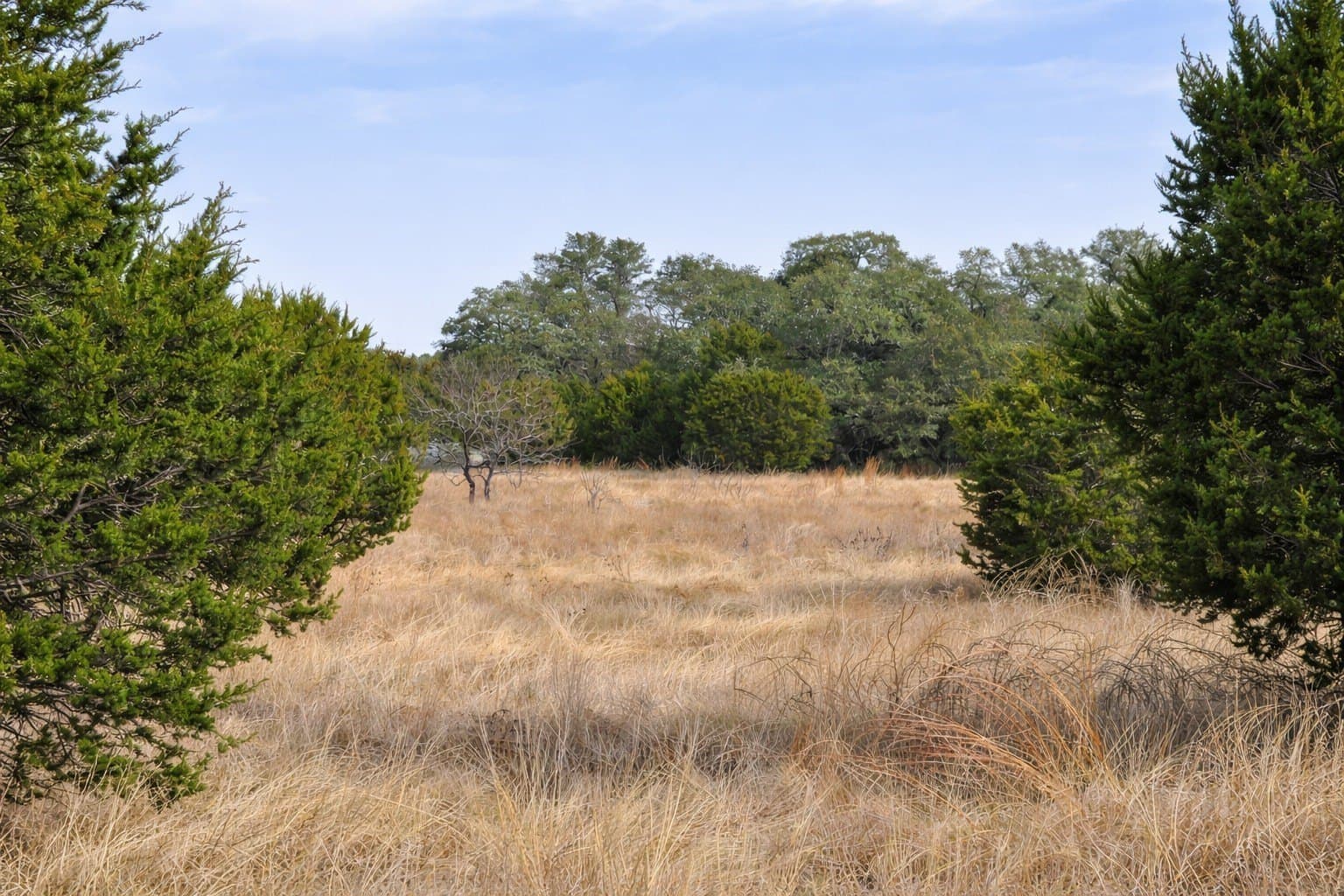 102.74 acres in Coryell County - photo 29