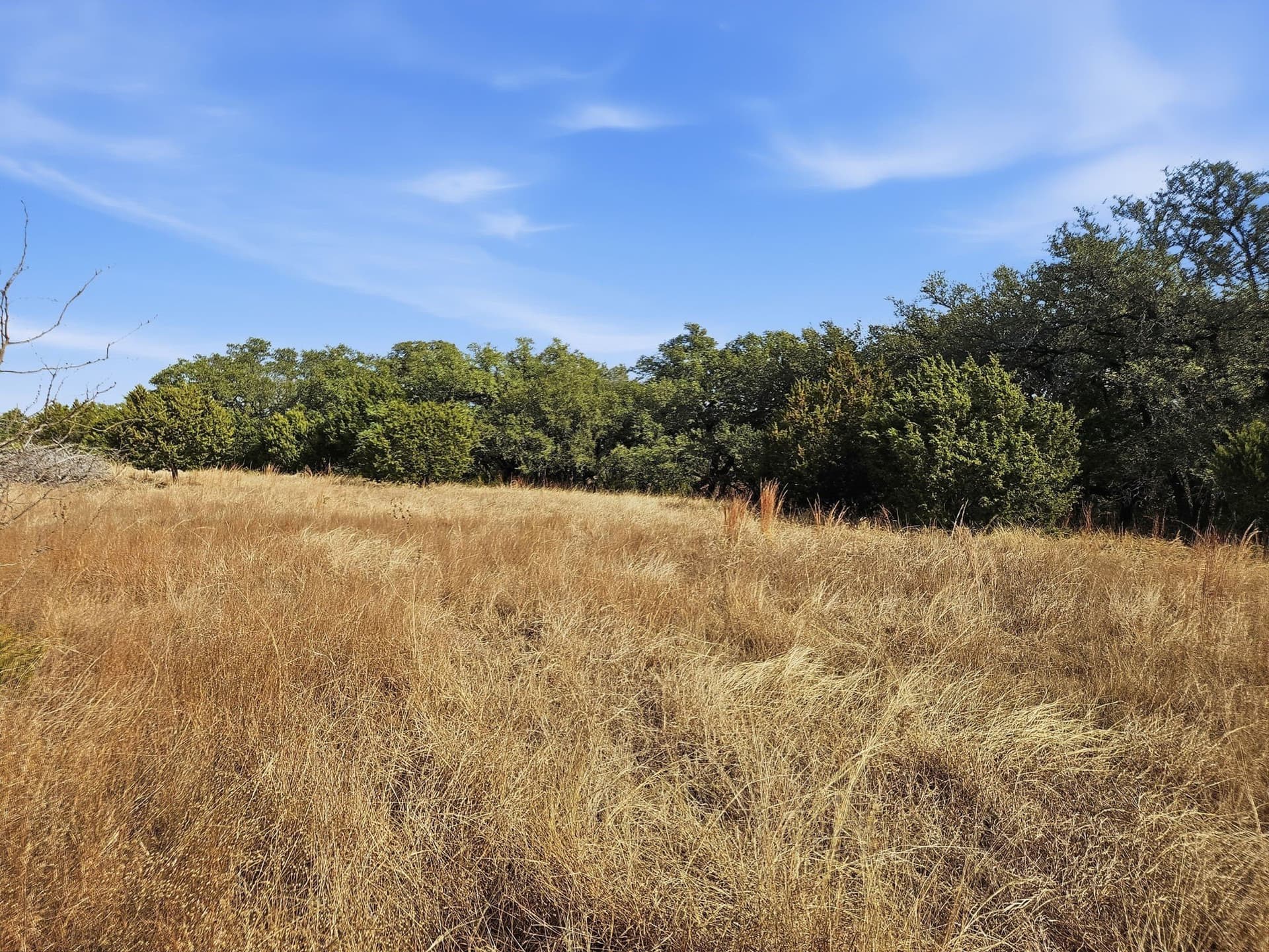 102.74 acres in Coryell County - photo 26
