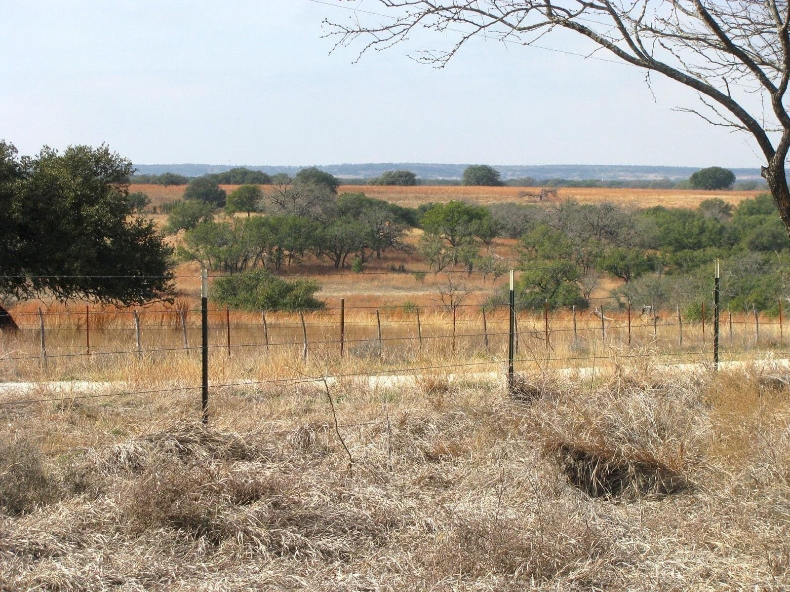 102.74 acres in Coryell County - photo 22