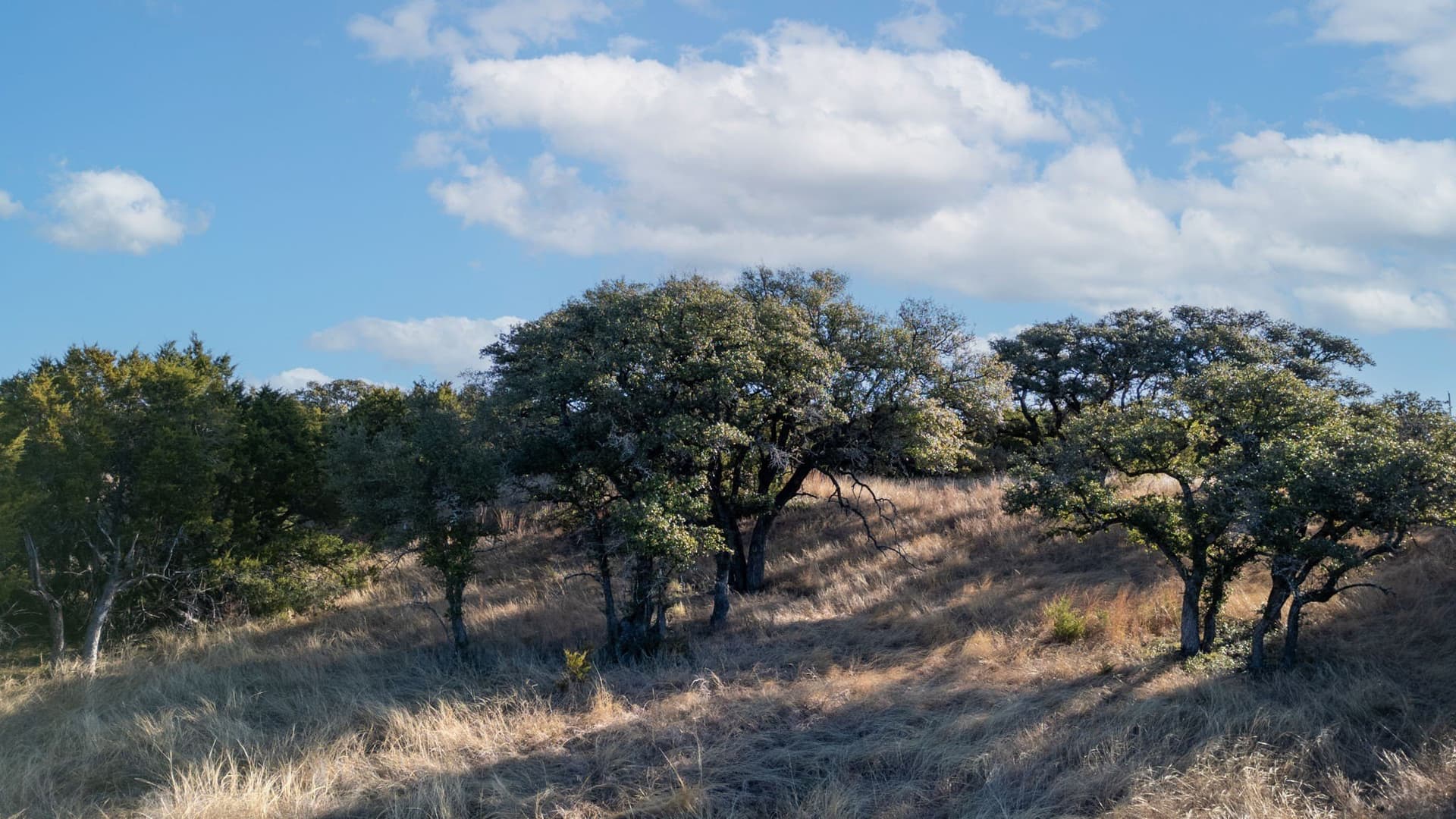 102.74 acres in Coryell County - photo 28