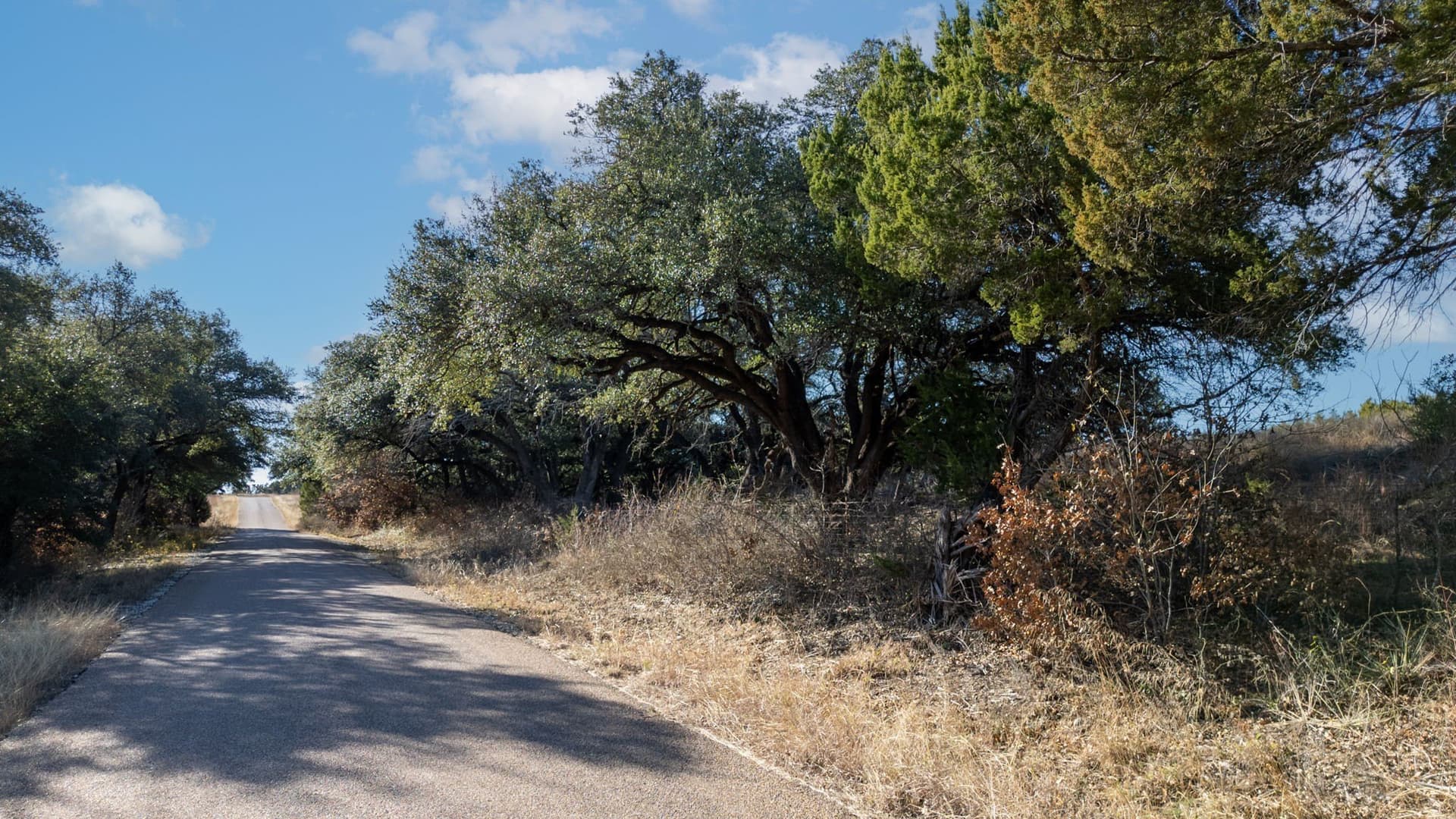 102.74 acres in Coryell County - photo 9