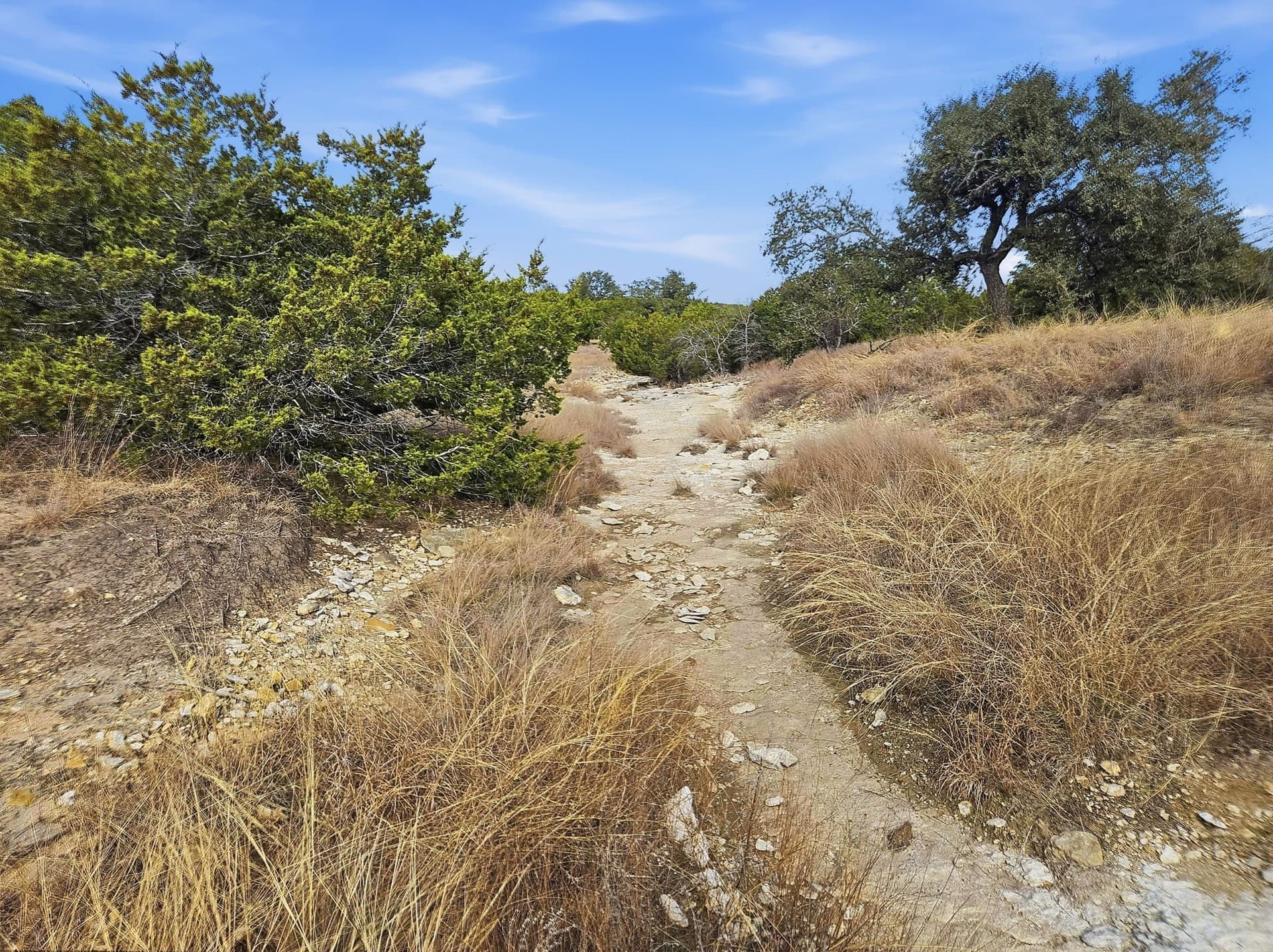 102.74 acres in Coryell County - photo 14