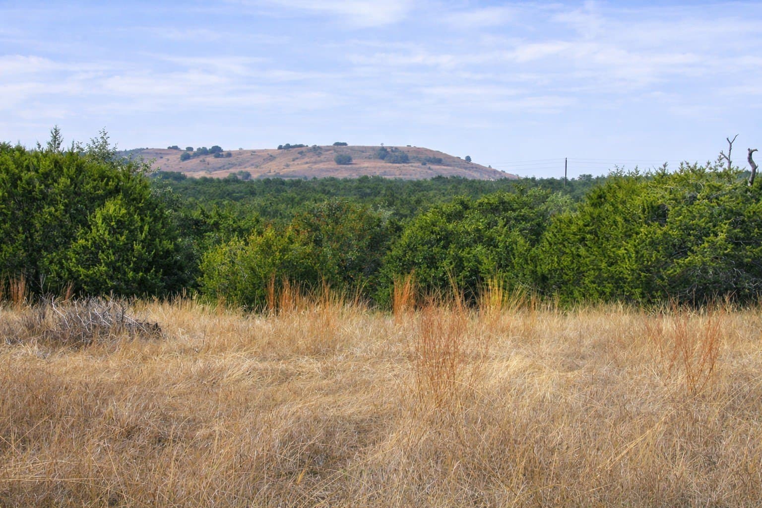 102.74 acres in Coryell County - photo 6