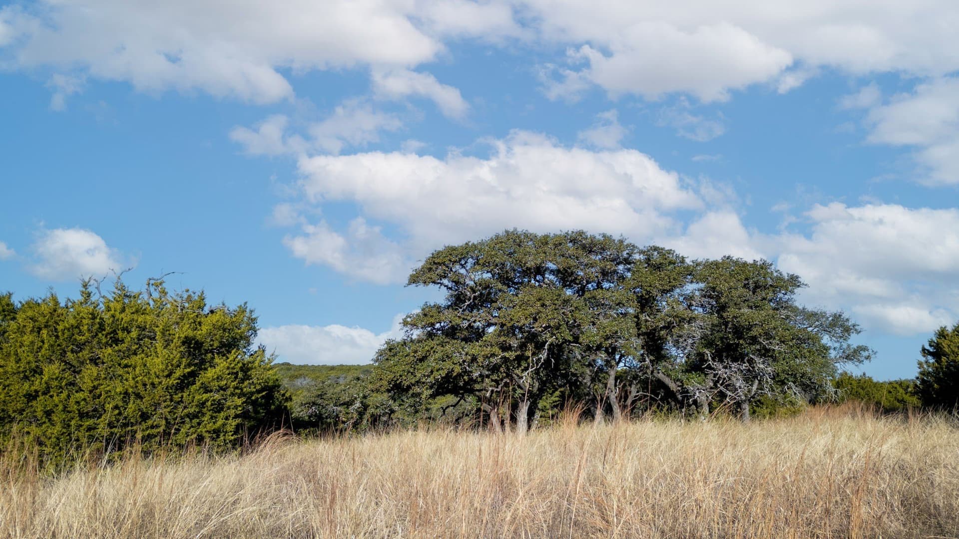 102.74 acres in Coryell County - photo 27