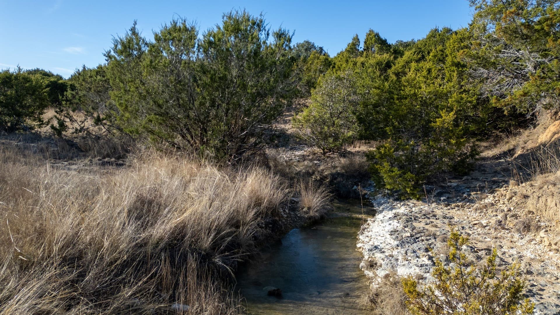 102.74 acres in Coryell County - photo 11