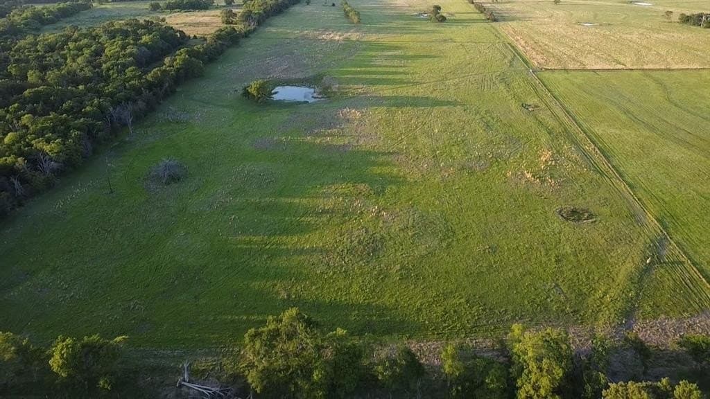 86.6 acres in Van Zandt County gallery image 3
