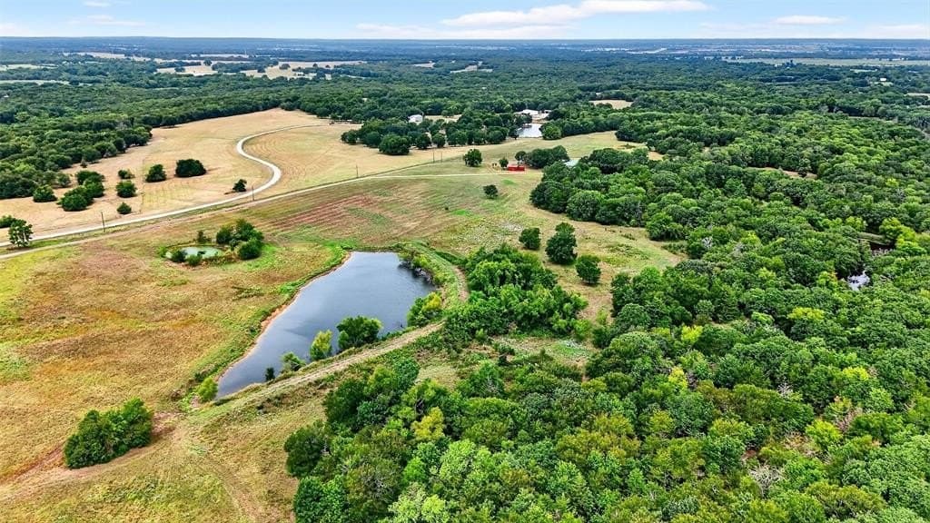 65.96 acres in Fannin County gallery image 4