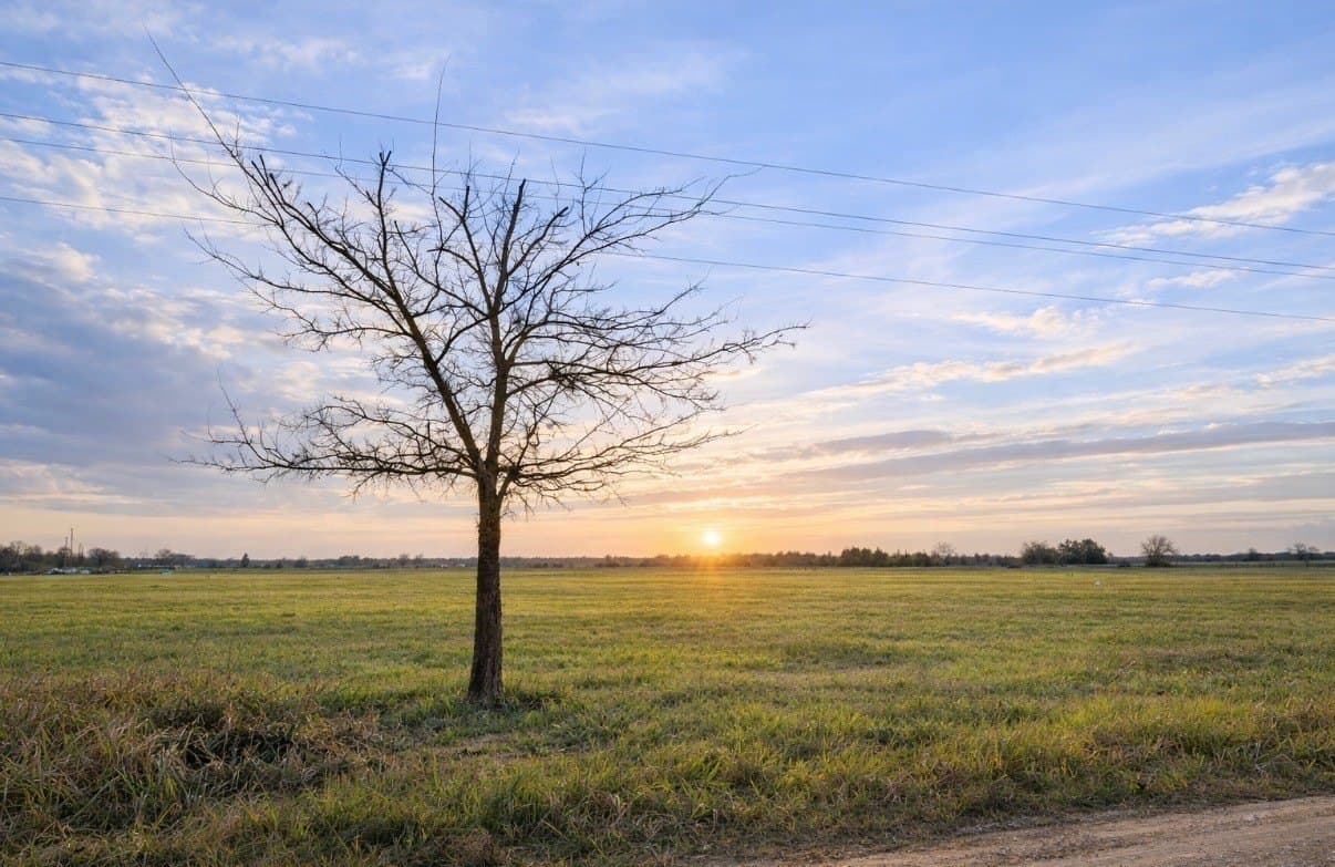 7.45 acres in Lamar County gallery image 4