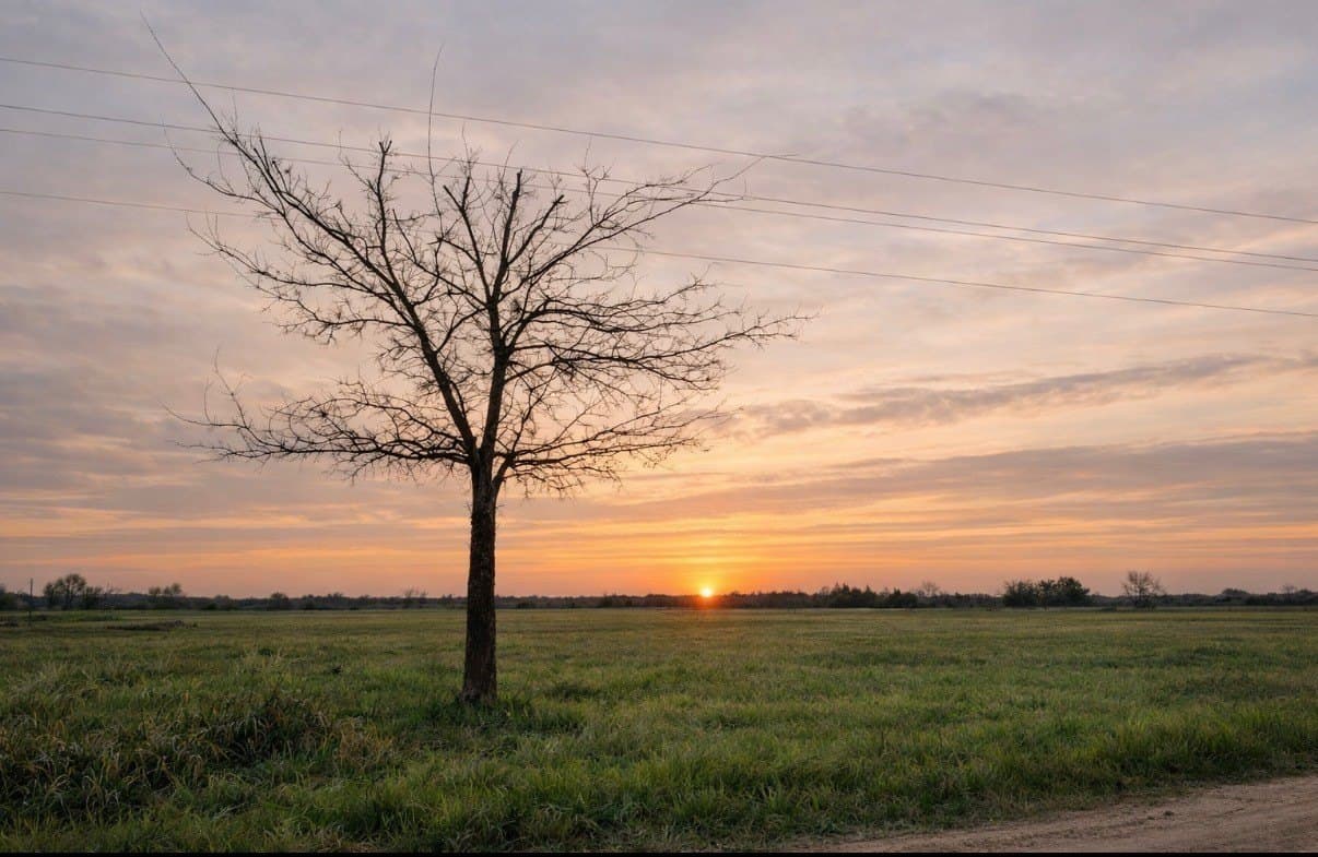 7.45 acres in Lamar County