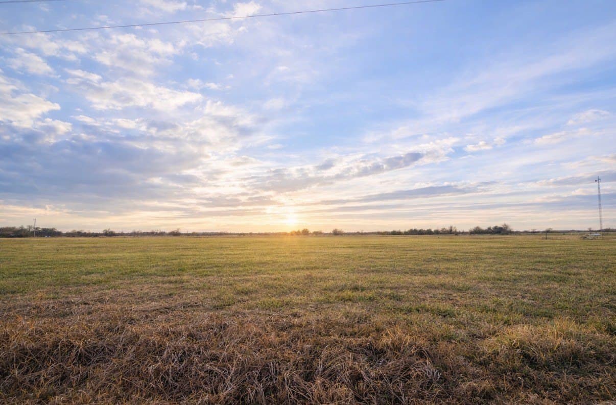 7.45 acres in Lamar County gallery image 3
