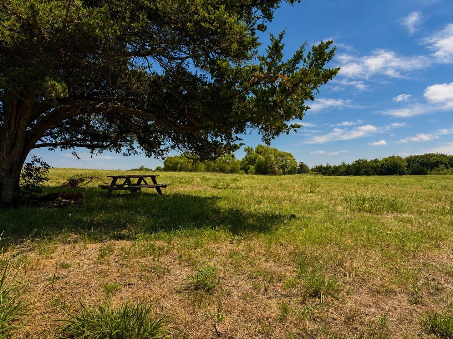 15 acres in Hunt County gallery image 4