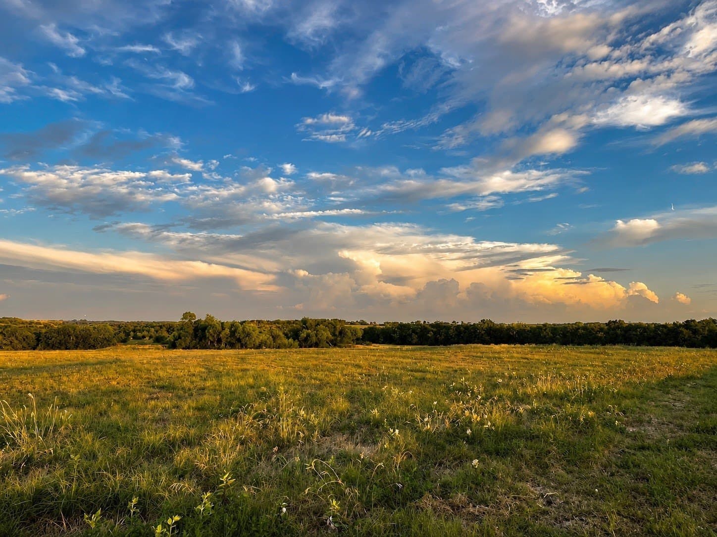 15 acres in Hunt County