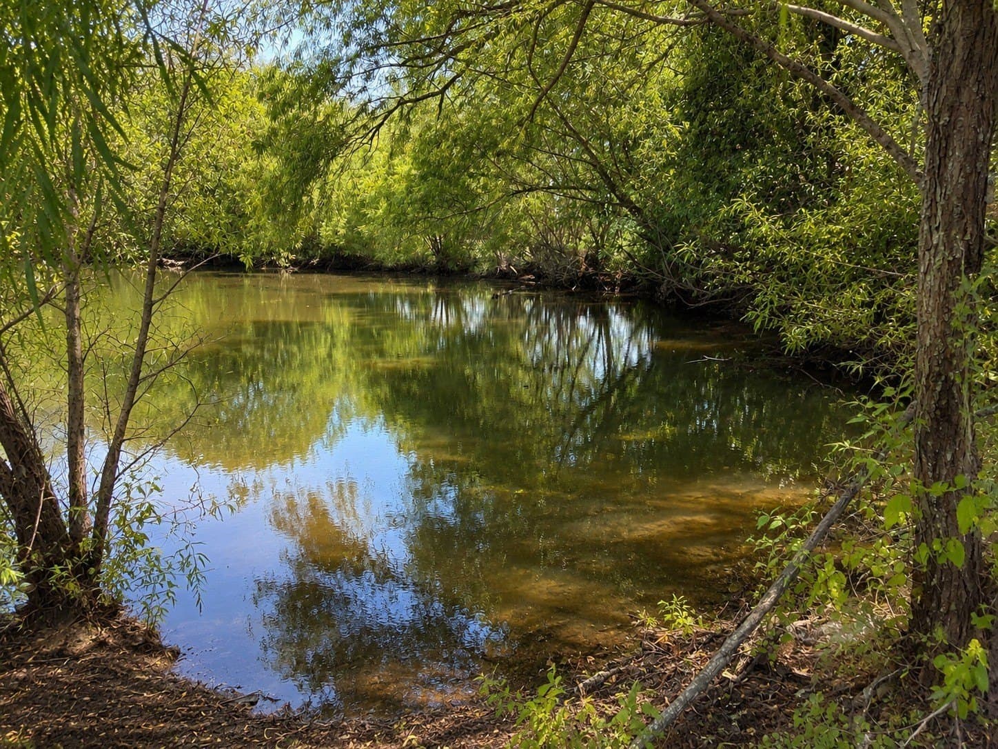 15 acres in Hunt County gallery image 3