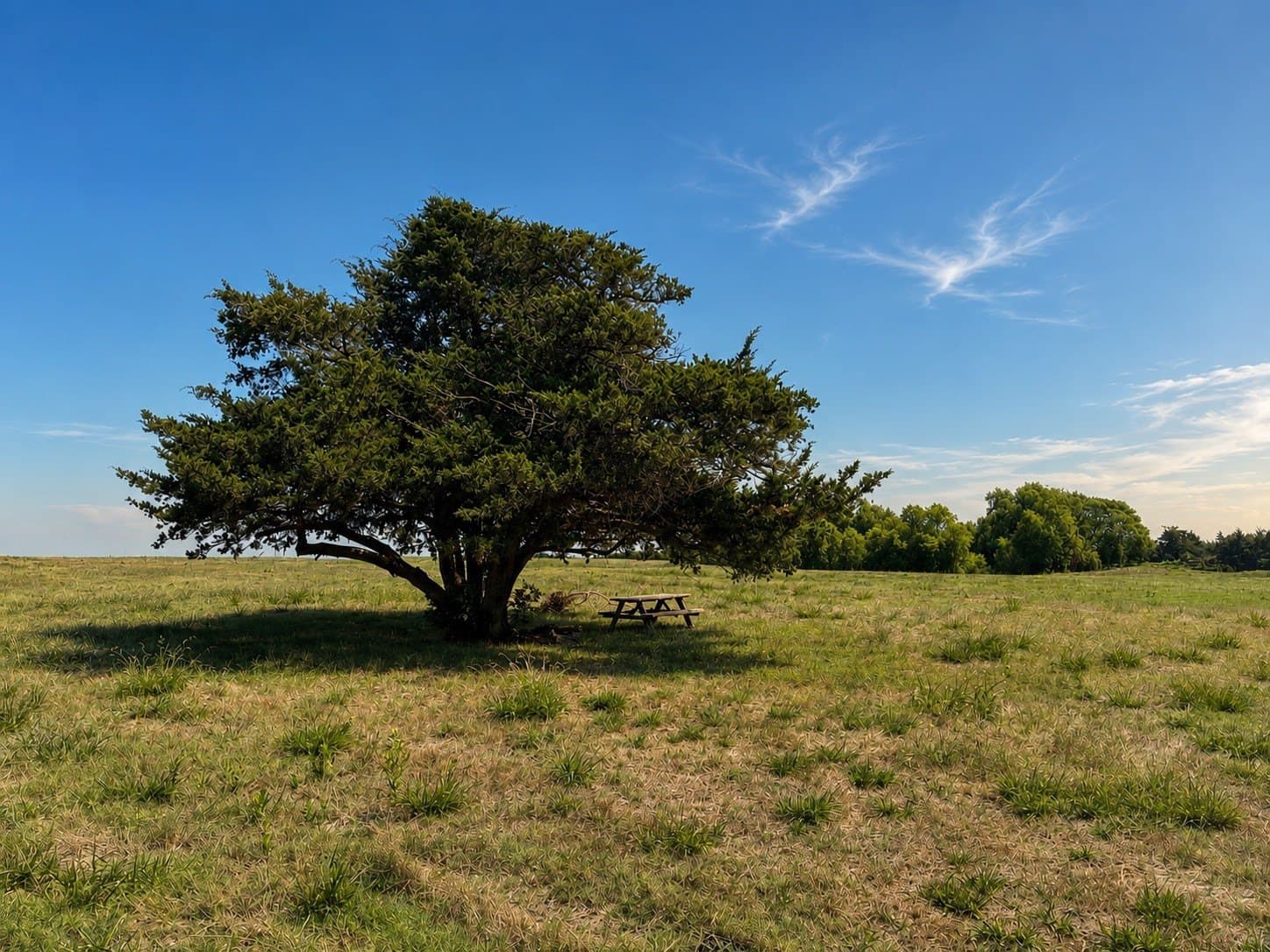 15 acres in Hunt County - photo 8