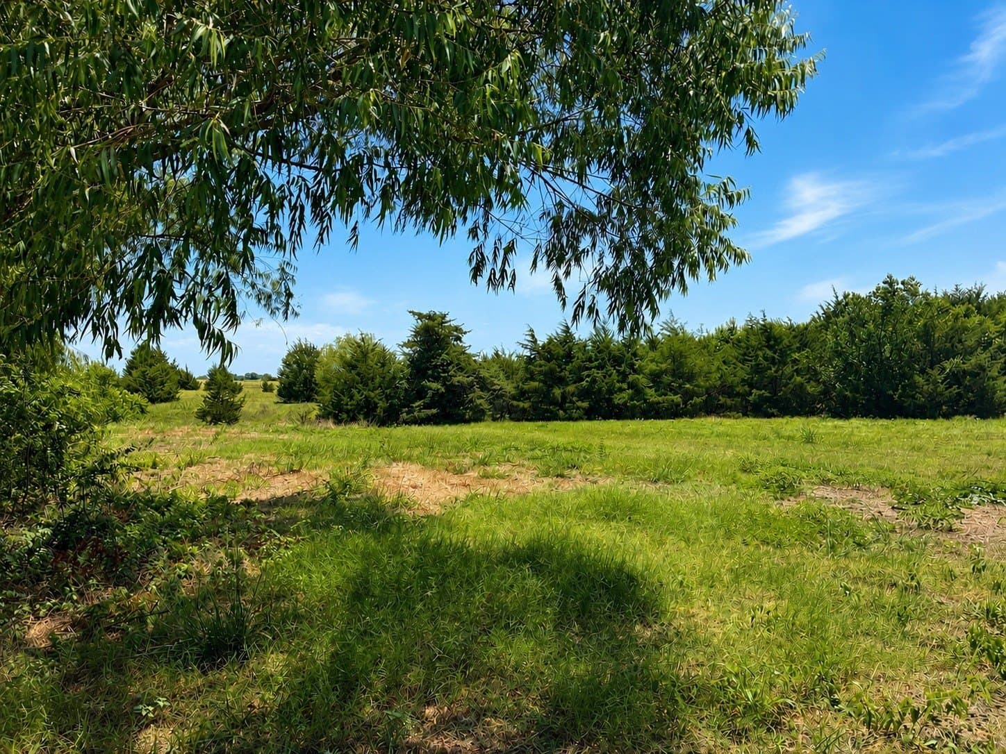 15 acres in Hunt County - photo 10