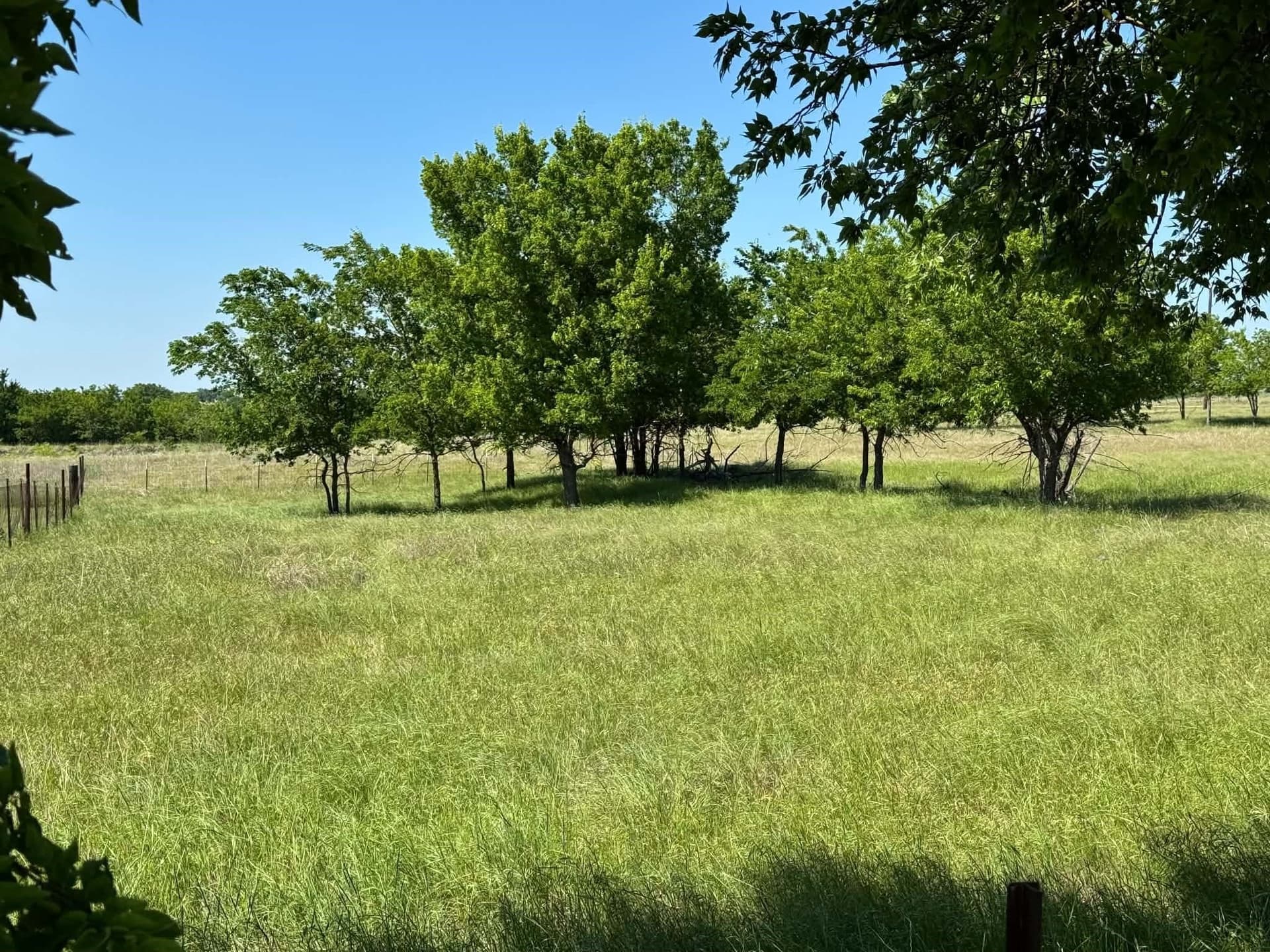 1 acres in Denton County gallery image 2