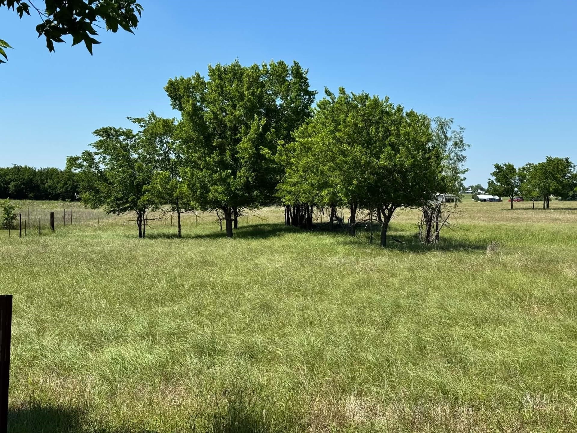 1 acres in Denton County gallery image 3