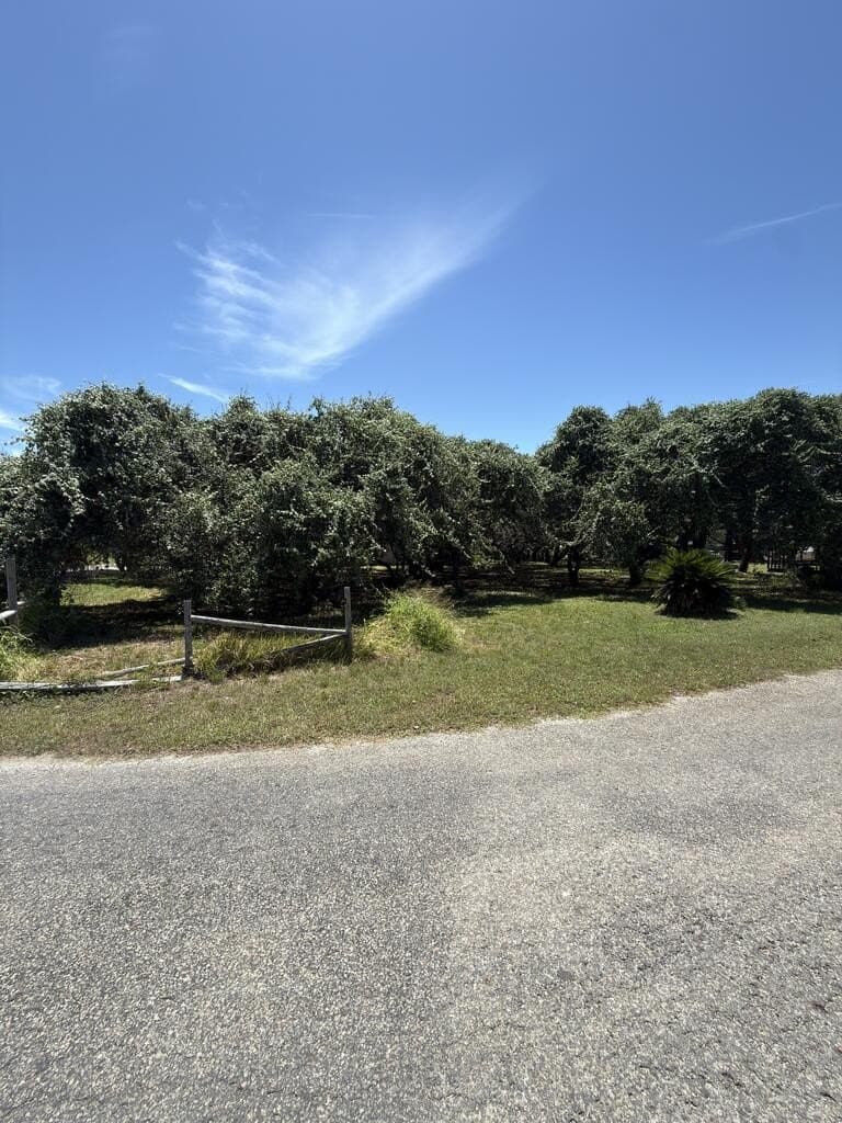 0.32 acres in Texas County - photo 2