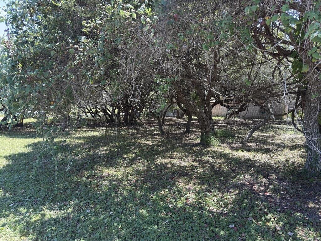 0.32 acres in Texas County - photo 4