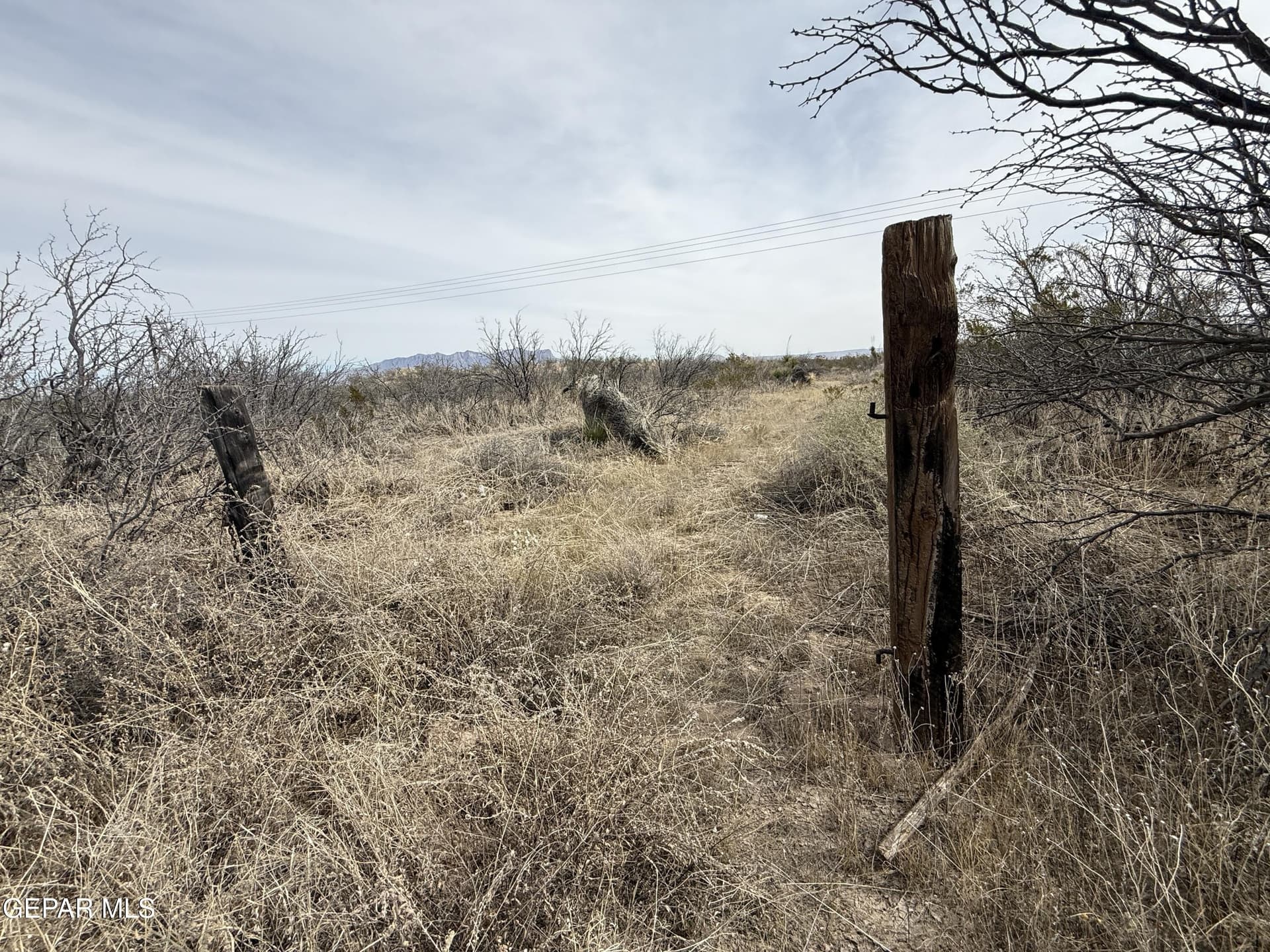 88 acres in Hudspeth County - photo 21