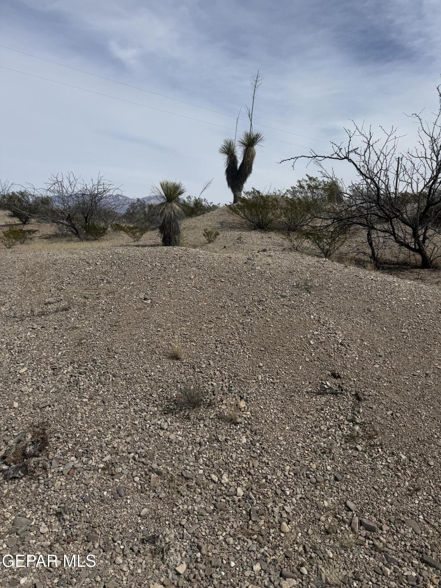88 acres in Hudspeth County - photo 18