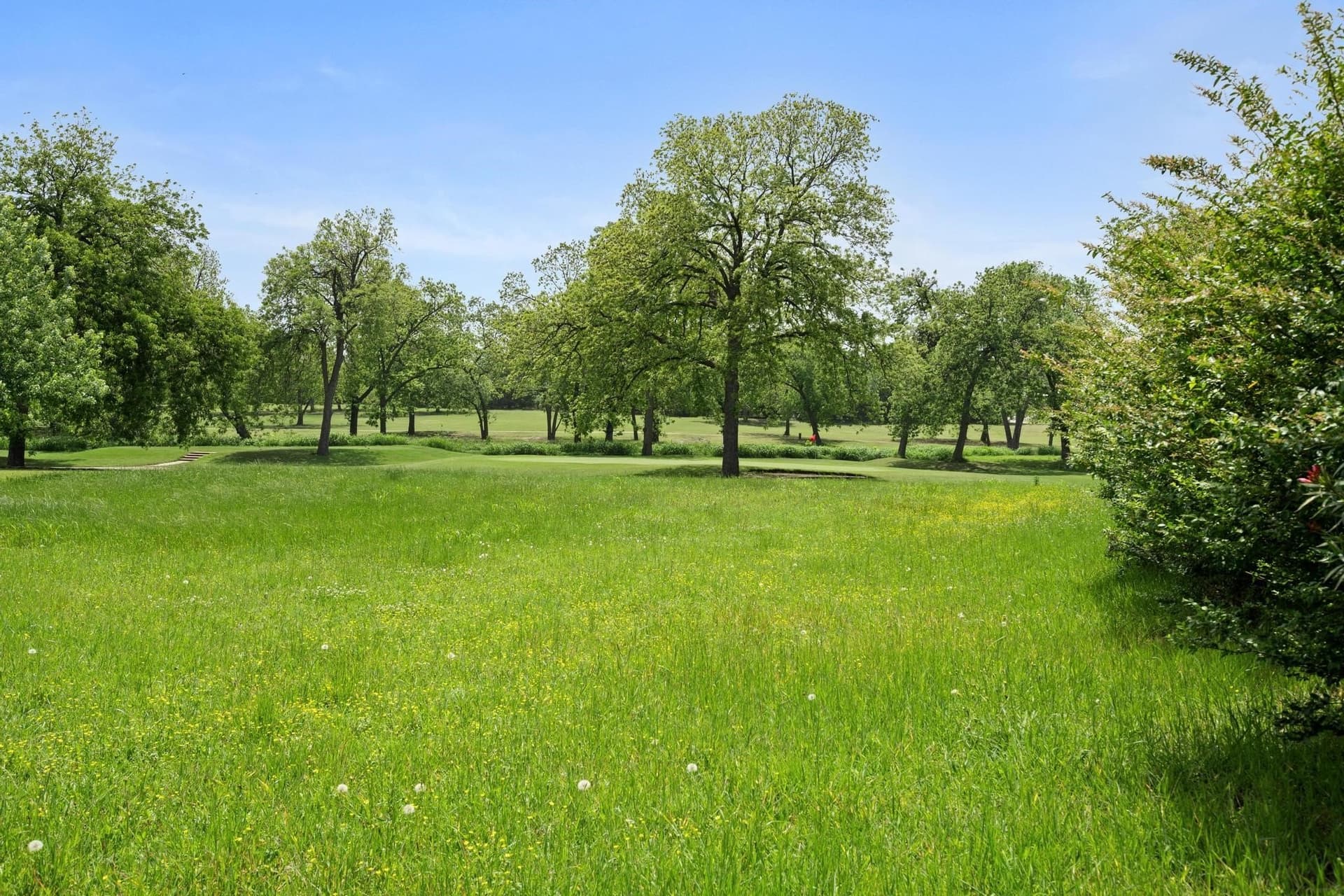 0.38 acres in Fannin County - photo 17