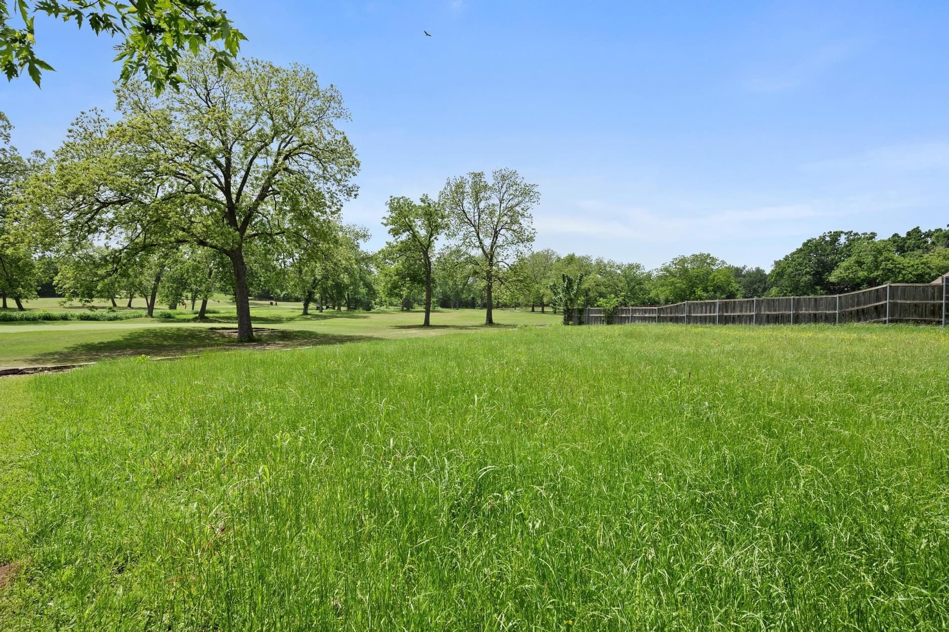 0.38 acres in Fannin County - photo 9