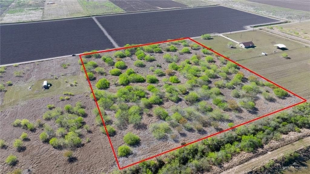 10 acres in Cameron County gallery image 2