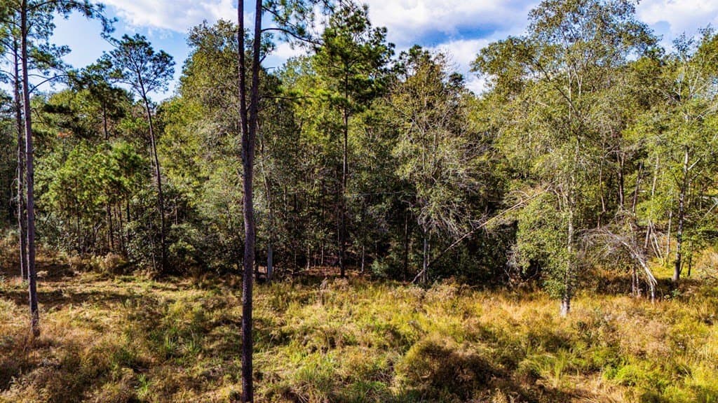 2.99 acres in Texas County gallery image 4