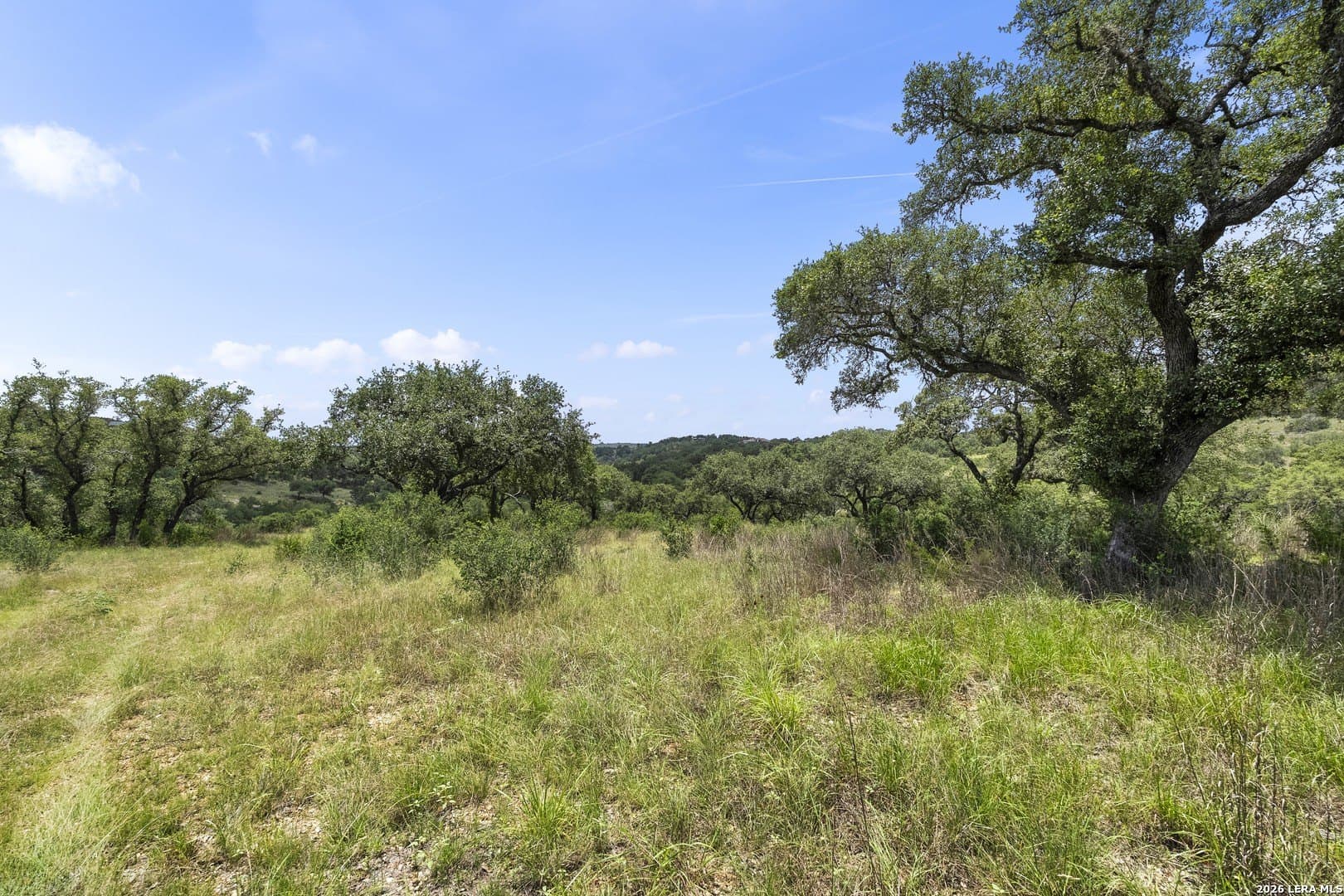 8.25 acres in Comal County - photo 30