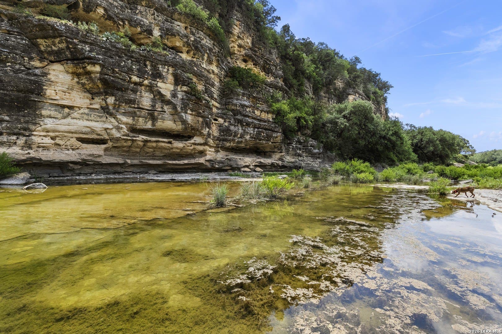 8.25 acres in Comal County - photo 34