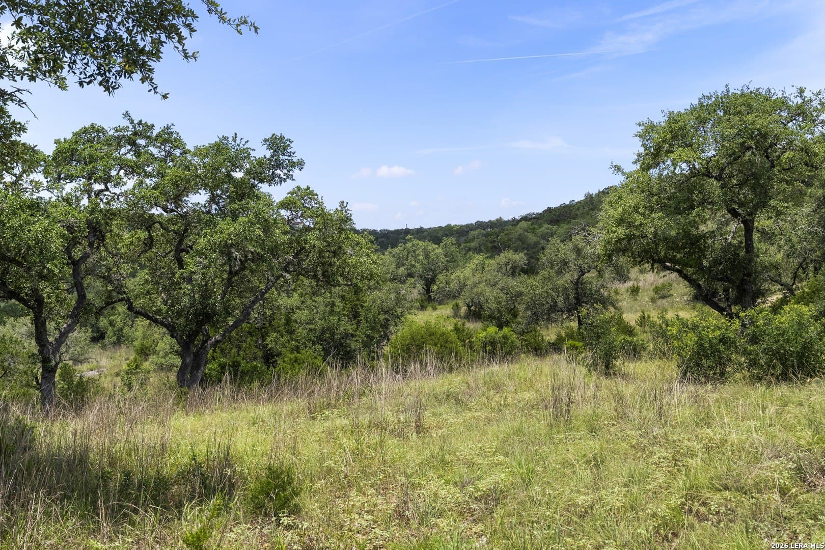 8.25 acres in Comal County - photo 29