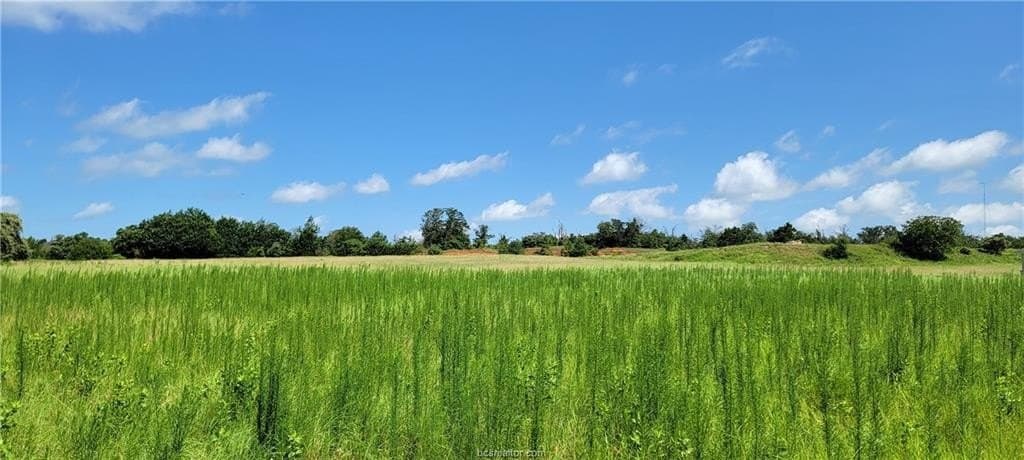 2.17 acres in Robertson County gallery image 4